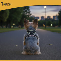 Survevabad rakmed lemmikloomale S Soodukas.Com