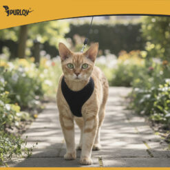 Survevabad rakmed lemmikloomale XS Soodukas.Com