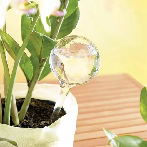 Isekastvad kastmispallid taimedele 8tk – Soodukas.Com Isekastvad kastmispallid taimedele 8tk - Image 8