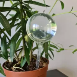 Isekastvad kastmispallid taimedele 8tk – Soodukas.Com Isekastvad kastmispallid taimedele 8tk Soodukas.Com