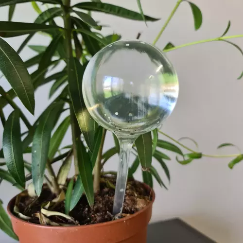 Isekastvad kastmispallid taimedele 8tk – Soodukas.Com Isekastvad kastmispallid taimedele 8tk - Image 9