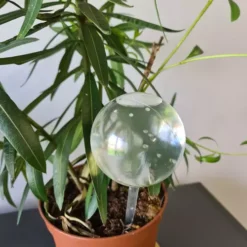 Isekastvad kastmispallid taimedele 8tk – Soodukas.Com Isekastvad kastmispallid taimedele 8tk Soodukas.Com