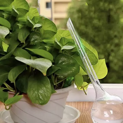 Isekastvad kastmispallid taimedele 8tk – Soodukas.Com Isekastvad kastmispallid taimedele 8tk - Image 11