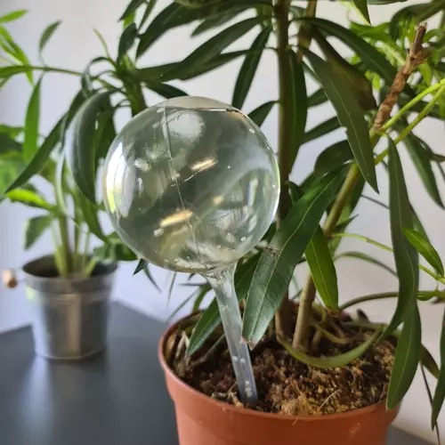 Isekastvad kastmispallid taimedele 8tk – Soodukas.Com Isekastvad kastmispallid taimedele 8tk - Image 12