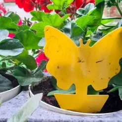 Putukate liimpüünised 12tk Soodukas.Com