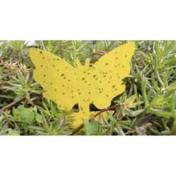 Putukate liimpüünised 12tk Soodukas.Com