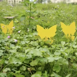 Putukate liimpüünised 12tk Soodukas.Com