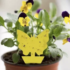 Alternative view of Putukate liimpüünised 12tk