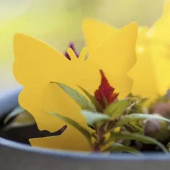 Putukate liimpüünised 12tk Soodukas.Com