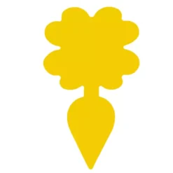 Putukate liimpüünised 12tk Soodukas.Com