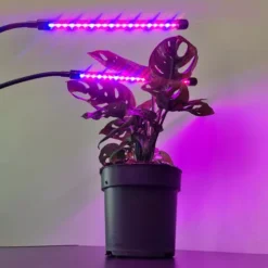 Taimelamp Soodukas.Com