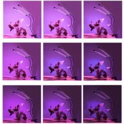 Taimelamp Soodukas.Com