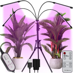 Taimelamp statiiviga