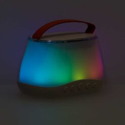 Karaokekomplekt kahe mikrofoniga Soodukas.Com