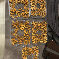 Toidukuivati 5 tasandiga Soodukas.Com