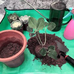 Suur veekindel istutusmatt 100x100cm Soodukas.Com