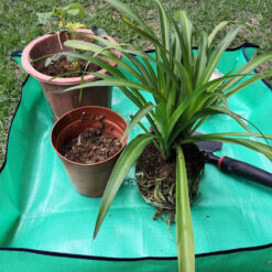 Alternative view of Suur veekindel istutusmatt 100x100cm