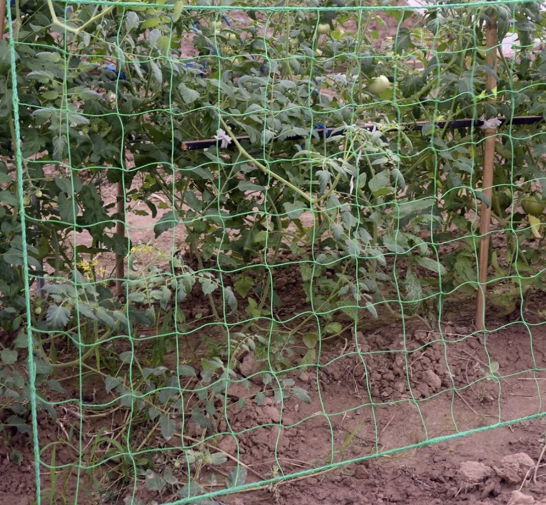 Taimevõrk ronitaimedele 2x10m – Soodukas.Com Taimevõrk ronitaimedele 2x10m - Image 8