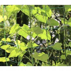 Taimevõrk ronitaimedele 2x10m – Soodukas.Com Taimevõrk ronitaimedele 2x10m Soodukas.Com