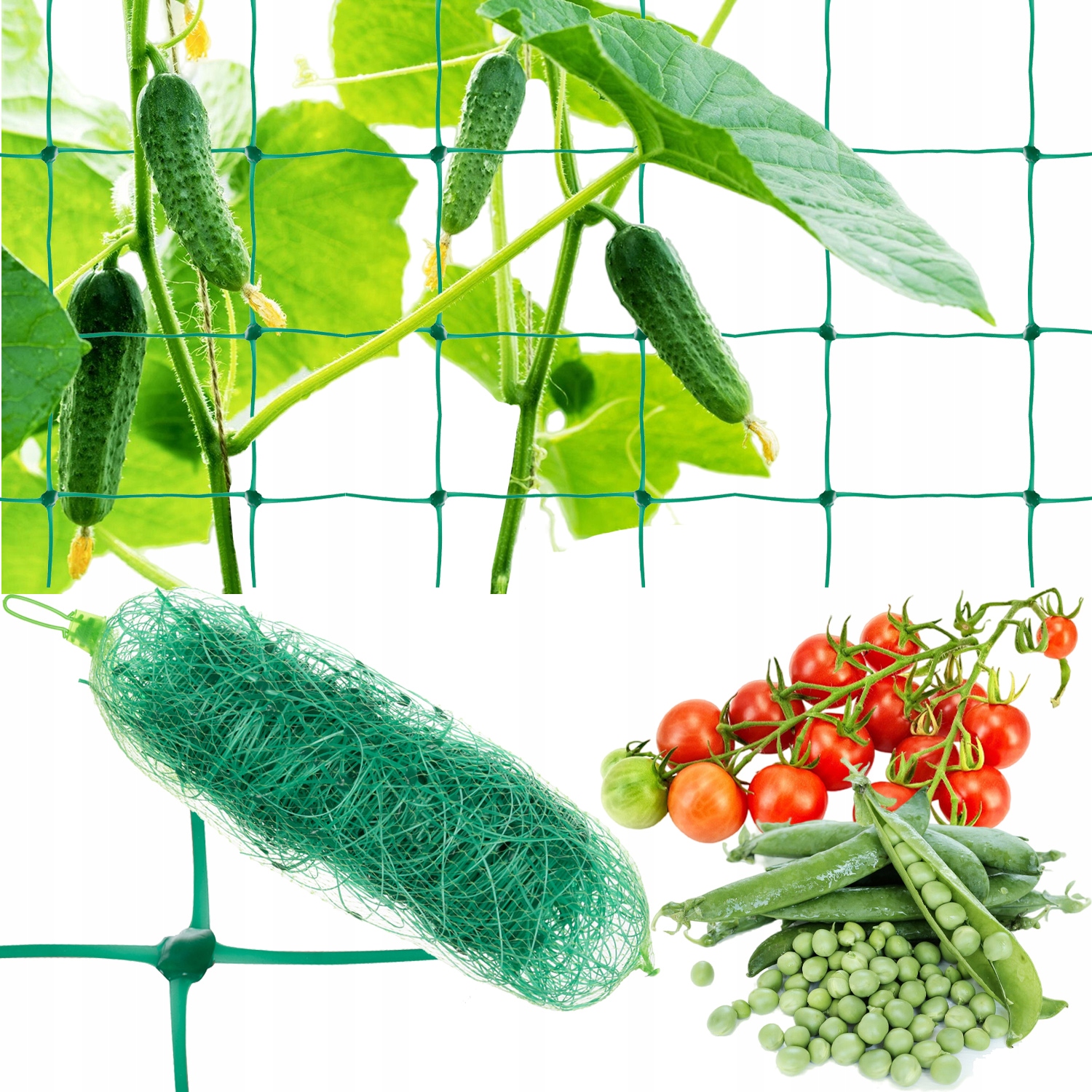 Taimevõrk ronitaimedele 2x10m – Soodukas.Com Taimevõrk ronitaimedele 2x10m