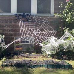 Suur karvane ämblik – Soodukas.Com Suur karvane ämblik Soodukas.Com