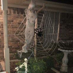 Suur karvane ämblik – Soodukas.Com Suur karvane ämblik Soodukas.Com