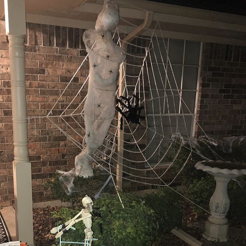 Suur karvane ämblik – Soodukas.Com Suur karvane ämblik - Image 11