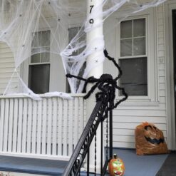 Suur karvane ämblik – Soodukas.Com Suur karvane ämblik Soodukas.Com