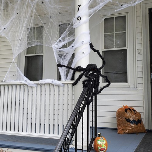 Suur karvane ämblik – Soodukas.Com Suur karvane ämblik - Image 13