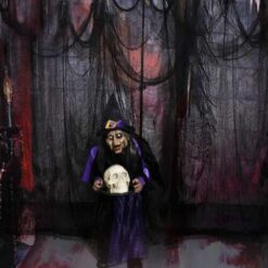 Ämblikuvõrk - Halloween dekoratsioon – Soodukas.Com Ämblikuvõrk - Halloween dekoratsioon Soodukas.Com