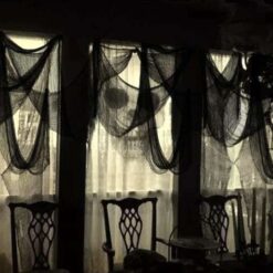 Ämblikuvõrk - Halloween dekoratsioon – Soodukas.Com Ämblikuvõrk - Halloween dekoratsioon Soodukas.Com