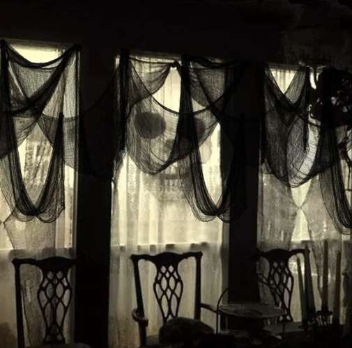 Ämblikuvõrk - Halloween dekoratsioon – Soodukas.Com Ämblikuvõrk - Halloween dekoratsioon - Image 13