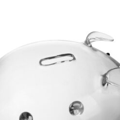 Klaasist hoiupõrsas - rahakassa Soodukas.Com