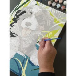 Numbrite järgi maalimise komplekt 40x30cm Soodukas.Com