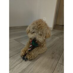 Jõulupakk koerale - koeramänguasjad 6tk Soodukas.Com