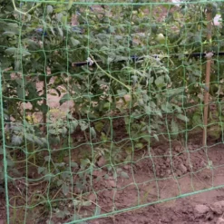 Taimevõrk ronitaimedele 2x20m Soodukas.Com