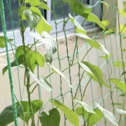 Taimevõrk ronitaimedele 2x20m Soodukas.Com