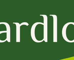 Päikeseenergial öökulli aiavalgusti Soodukas.Com