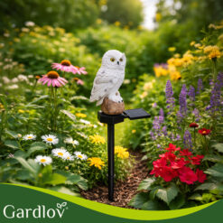 Päikeseenergial öökulli aiavalgusti Soodukas.Com