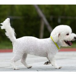 LED kaelarihm koerale Soodukas.Com