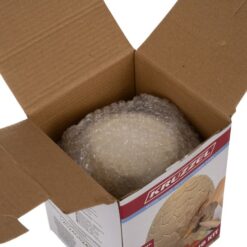 Väljakaevamiskomplekt dinosaurustega Soodukas.Com