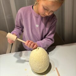 Väljakaevamiskomplekt dinosaurustega Soodukas.Com