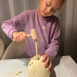 Väljakaevamiskomplekt dinosaurustega Soodukas.Com