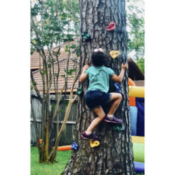 Ronimiskivid 12tk Soodukas.Com