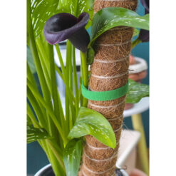 Takjapael taimede toestamiseks 5m Soodukas.Com