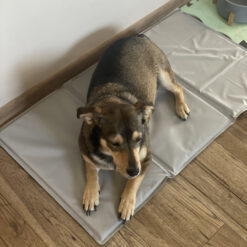 Jahutusmatt koertele 90x50cm Soodukas.Com