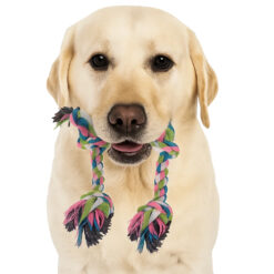 16-osaline koera mänguasjade komplekt Soodukas.Com