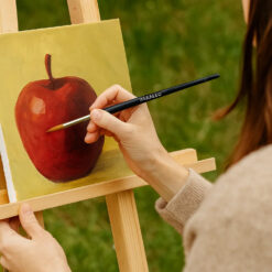 Pintslite komplekt - maalimispintslid 11tk + hoidik Soodukas.Com