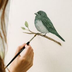 Pintslite komplekt - maalimispintslid 11tk + hoidik Soodukas.Com