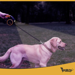 Automaatne 5m jalutusrihm taskulambi ja kotihoidikuga Soodukas.Com